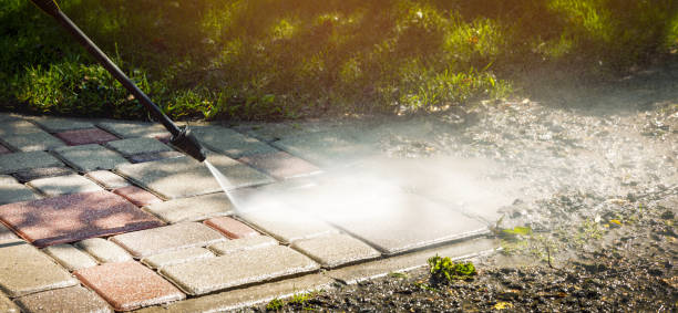 Best Patio and Deck Pressure Washing  in Roanoke, IL